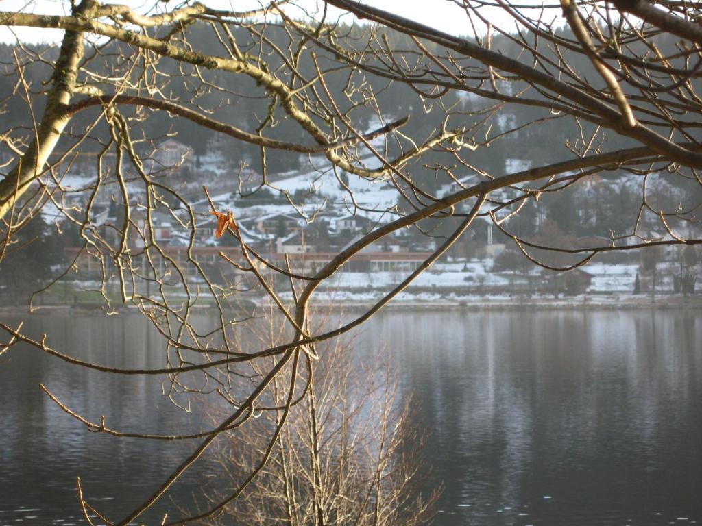 Hotel Restaurant De La Poste A Gérardmer Pokój zdjęcie